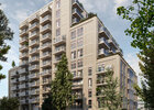 projecten rootz haarlem