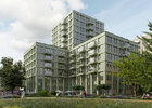 projecten rootz haarlem